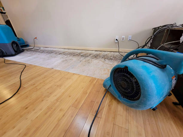 Professional Water Damage Repair technician working in Stanley, WI